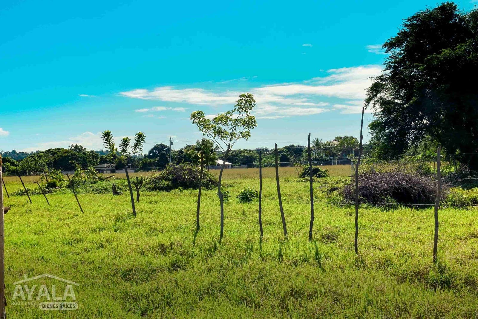 Residencial Higuerito, Higuerito, Moca — vista 5