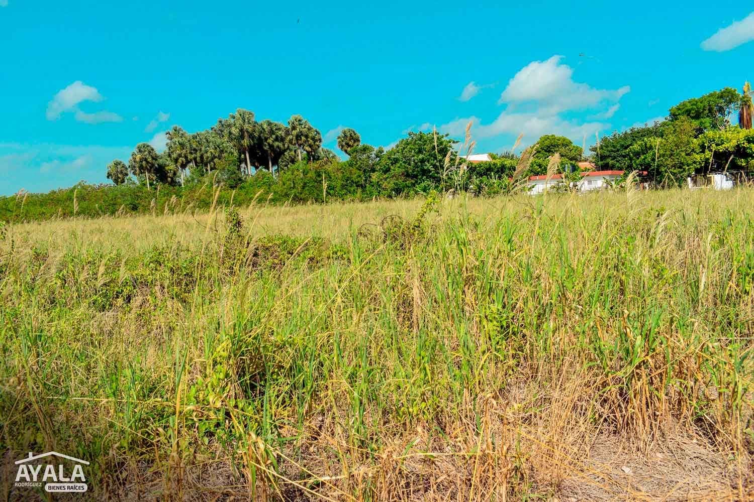 Finca de 100 tareas en Ortega, Ortega, Moca — vista 2