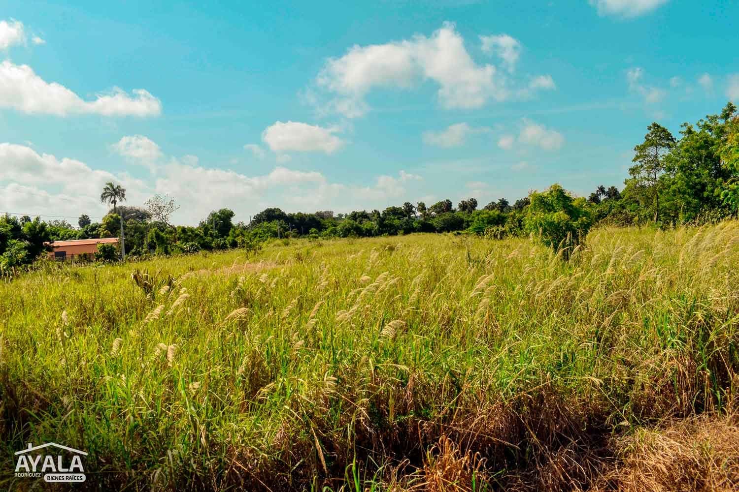 Finca de 100 tareas en Ortega, Ortega, Moca — vista 3