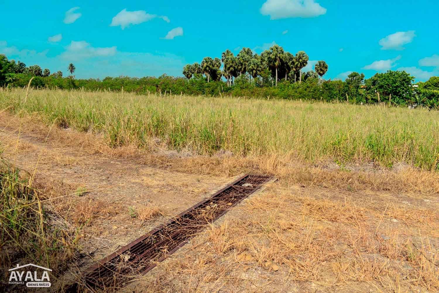 Finca de 100 tareas en Ortega, Ortega, Moca — vista 4