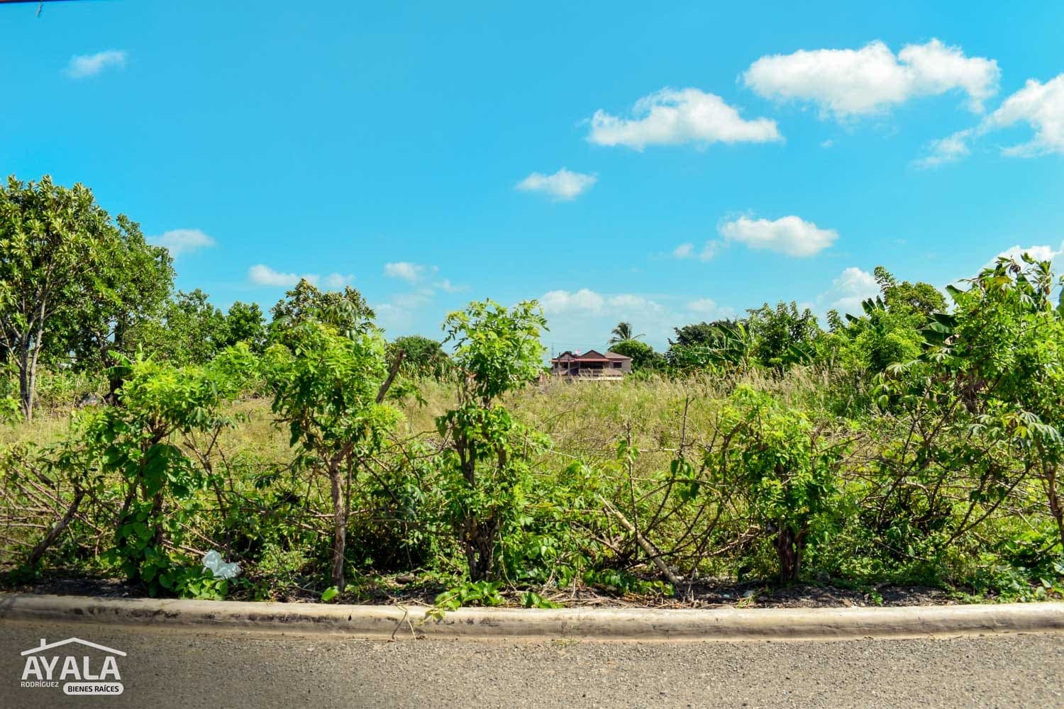 Solar de 2,402 m² en Ortega, Ortega, Moca