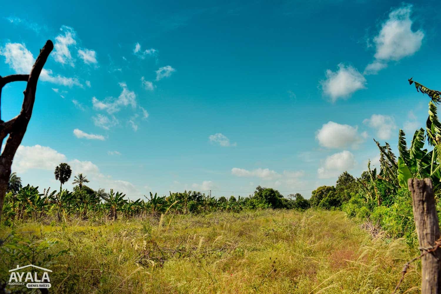 Solar de 2,402 m² en Ortega, Ortega, Moca — vista 2