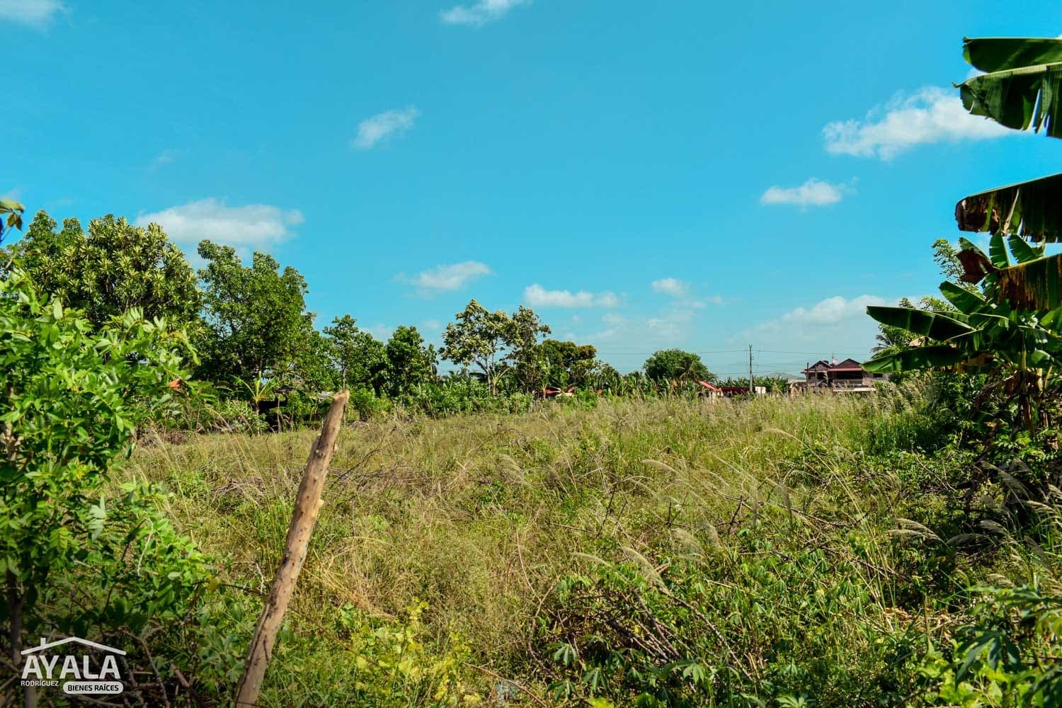 Solar de 2,402 m² en Ortega, Ortega, Moca — vista 3