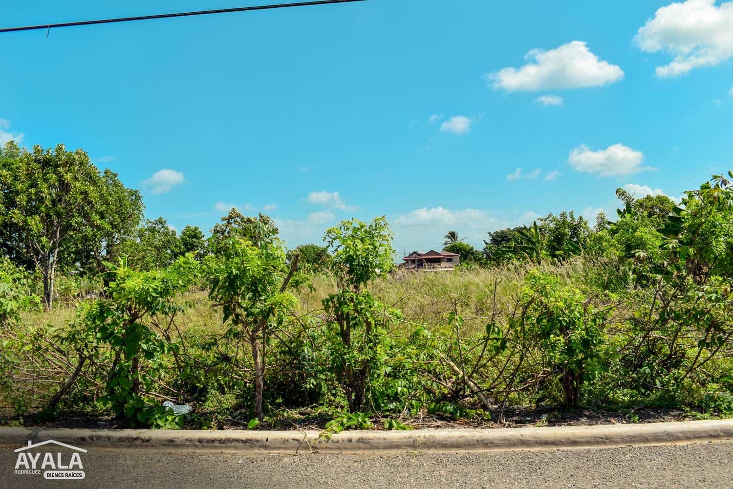 Solar de 2,402 m² en Ortega, Ortega, Moca — vista 4
