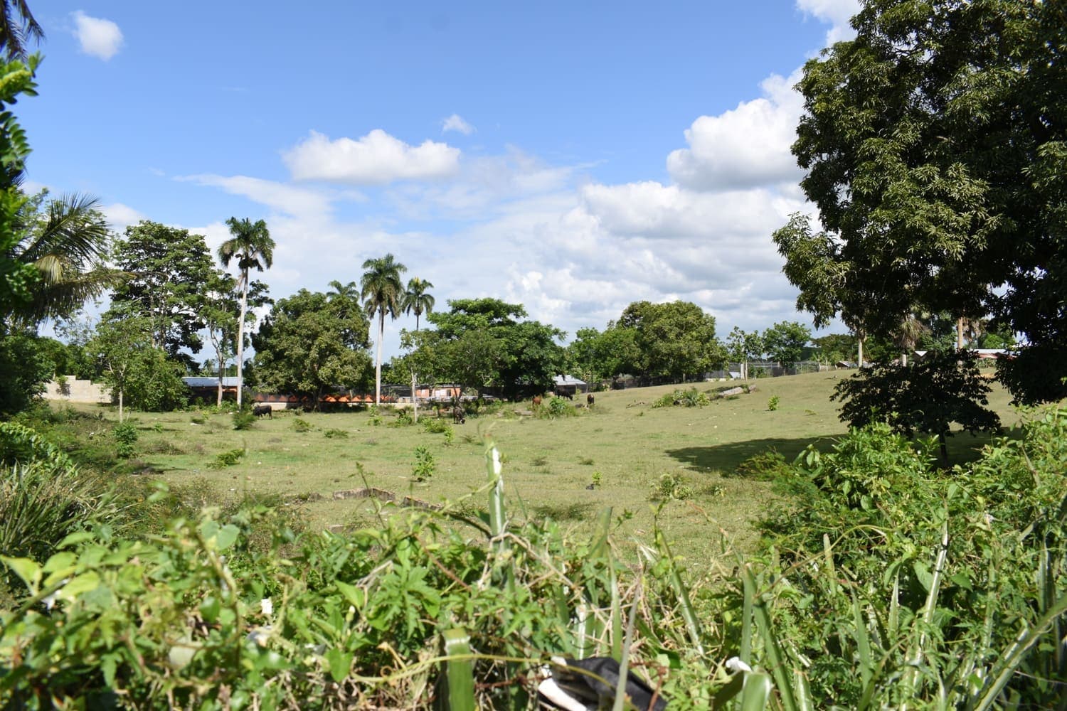 Terreno en Estancia Nueva, Estancia Nueva, Moca