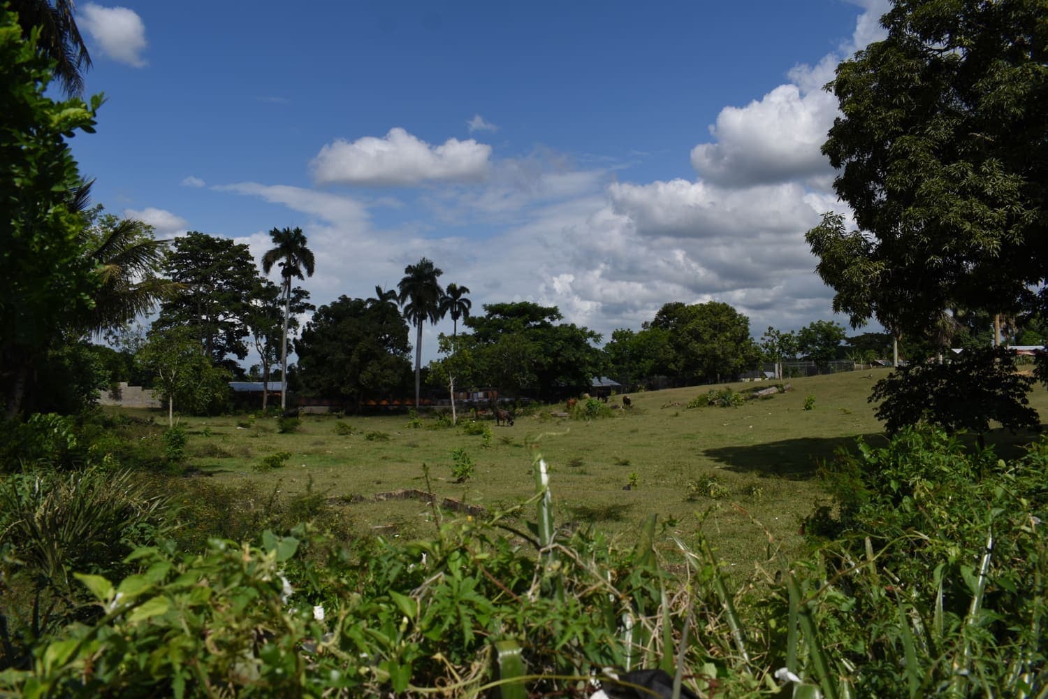 Terreno en Estancia Nueva, Estancia Nueva, Moca — vista 2