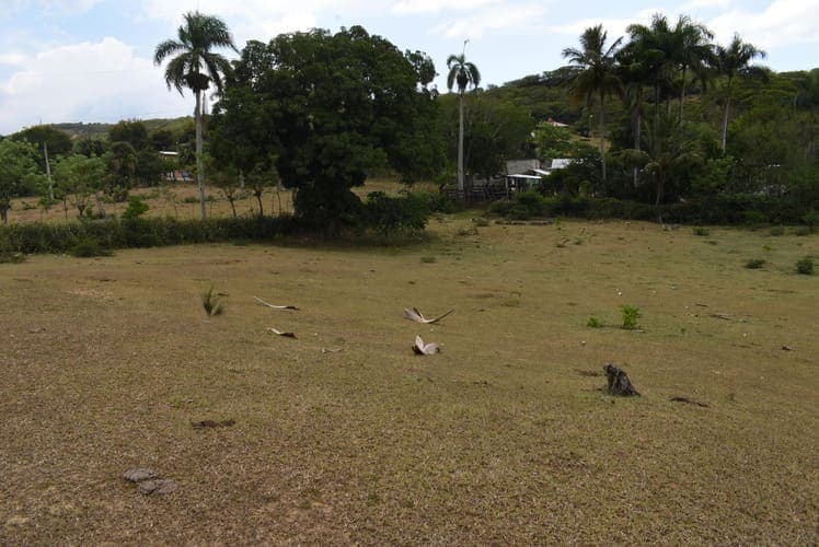 Terreno en Estancia Nueva, Estancia Nueva, Moca — vista 3