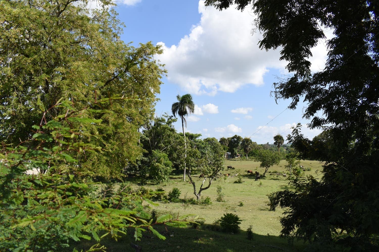 Terreno en Estancia Nueva, Estancia Nueva, Moca — vista 4