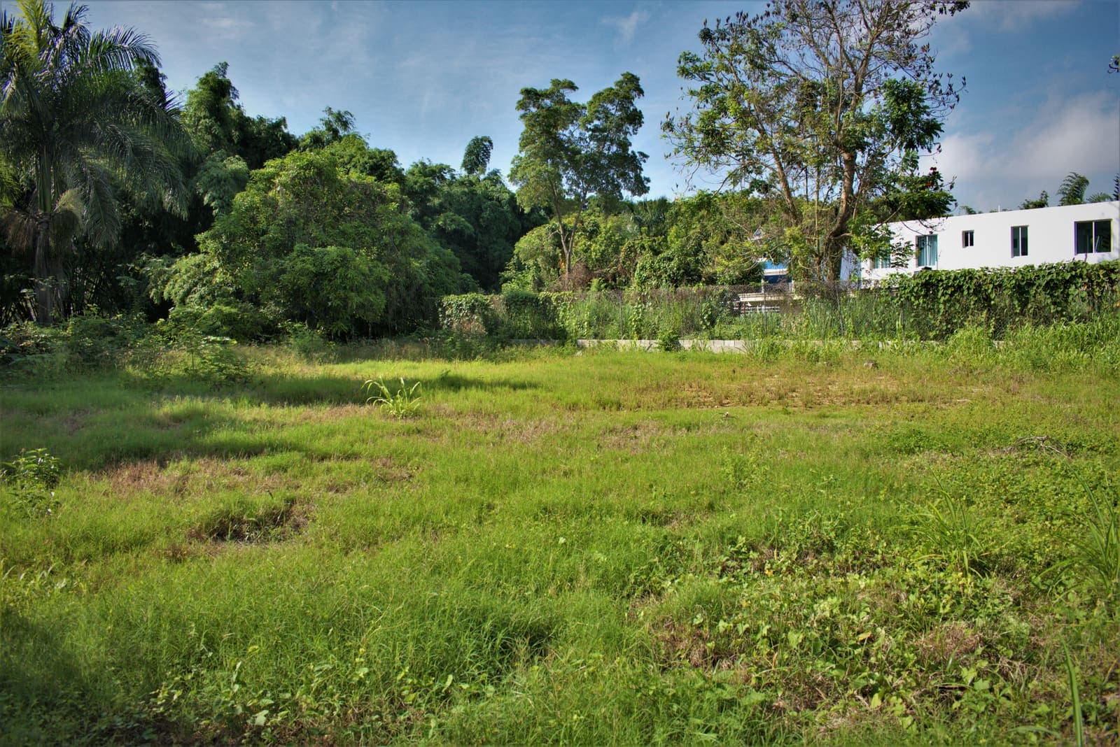 Terreno en Rafael Vidal, Rafael Vidal, Santiago — vista 5
