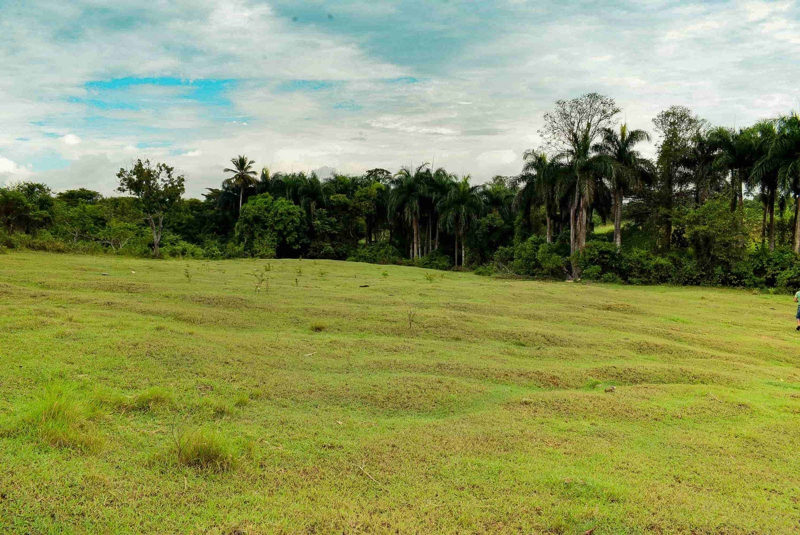 Finca en San José Afuera, San José Afuera, Moca