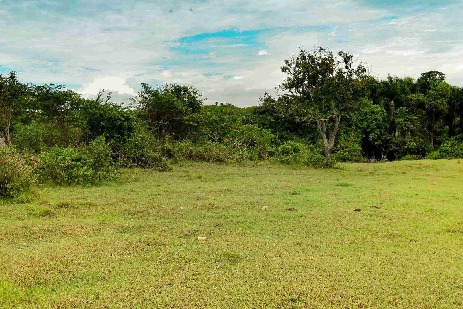 Finca en San José Afuera, San José Afuera, Moca — vista 3