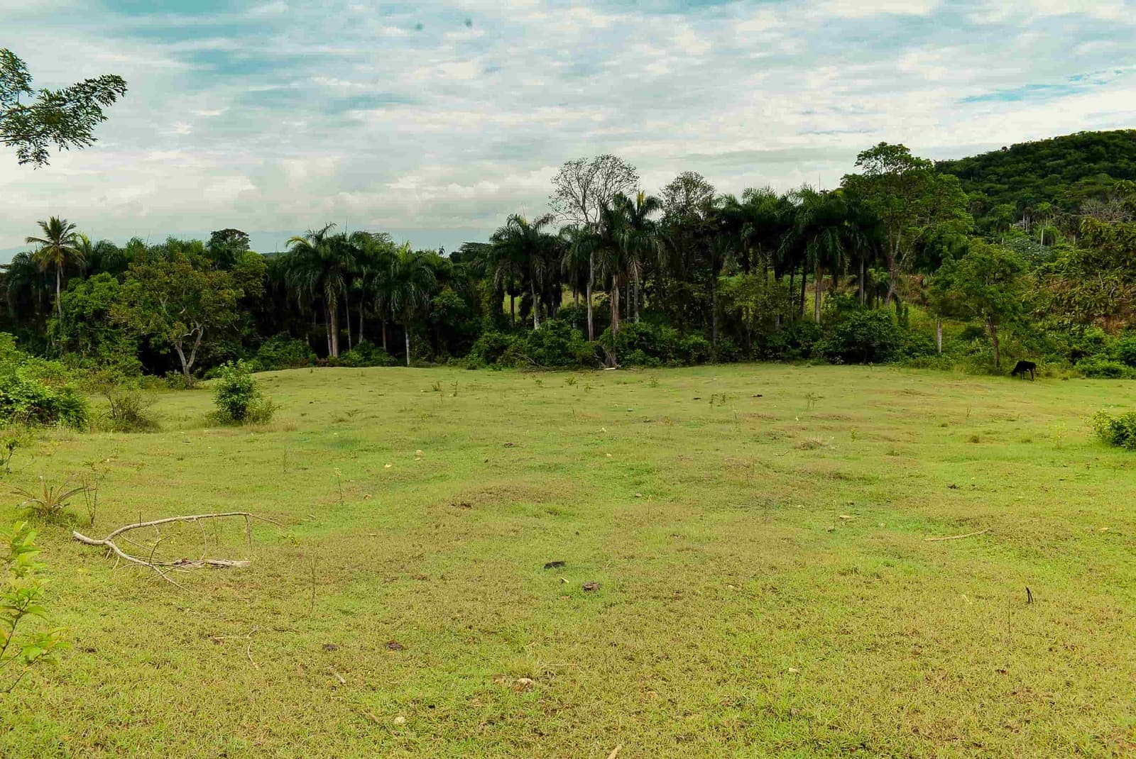 Finca en San José Afuera, San José Afuera, Moca — vista 4